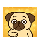 キラキラむすっとパグ@SFW（個別スタンプ：31）