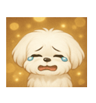 キラキラおっとりマルチーズ@SFW（個別スタンプ：1）