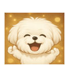 キラキラおっとりマルチーズ@SFW（個別スタンプ：3）