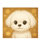 キラキラおっとりマルチーズ@SFW（個別スタンプ：9）