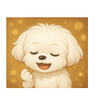 キラキラおっとりマルチーズ@SFW（個別スタンプ：12）