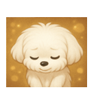 キラキラおっとりマルチーズ@SFW（個別スタンプ：14）