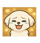 キラキラおっとりマルチーズ@SFW（個別スタンプ：20）