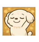 キラキラおっとりマルチーズ@SFW（個別スタンプ：22）