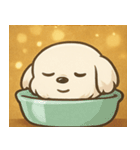 キラキラおっとりマルチーズ@SFW（個別スタンプ：25）