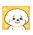 キラキラまんまるビジョン@SFW（個別スタンプ：17）