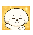 キラキラまんまるビジョン@SFW（個別スタンプ：19）
