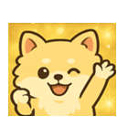 キラキラふわもこポメラニアン@SFW（個別スタンプ：6）