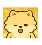 キラキラふわもこポメラニアン@SFW（個別スタンプ：11）