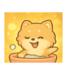 キラキラふわもこポメラニアン@SFW（個別スタンプ：25）