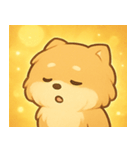 キラキラふわもこポメラニアン@SFW（個別スタンプ：26）