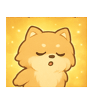 キラキラふわもこポメラニアン@SFW（個別スタンプ：31）