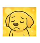 キラキラごきげんラブラドール@SFW（個別スタンプ：4）