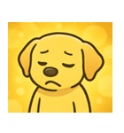キラキラごきげんラブラドール@SFW（個別スタンプ：8）