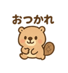 おはようこビーバー（個別スタンプ：1）