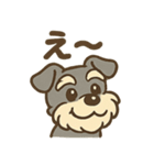 元気すぎるシュナです（個別スタンプ：1）