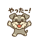 元気すぎるシュナです（個別スタンプ：3）