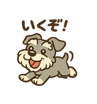 元気すぎるシュナです（個別スタンプ：4）