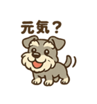 元気すぎるシュナです（個別スタンプ：5）