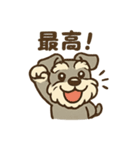 元気すぎるシュナです（個別スタンプ：6）