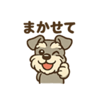 元気すぎるシュナです（個別スタンプ：7）
