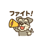 元気すぎるシュナです（個別スタンプ：8）