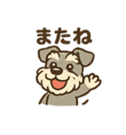 元気すぎるシュナです（個別スタンプ：10）