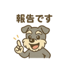 元気すぎるシュナです（個別スタンプ：11）