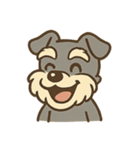 元気すぎるシュナです（個別スタンプ：12）