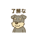 元気すぎるシュナです（個別スタンプ：14）