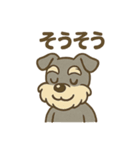 元気すぎるシュナです（個別スタンプ：15）