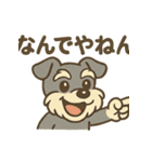 元気すぎるシュナです（個別スタンプ：16）