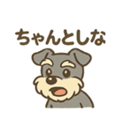 元気すぎるシュナです（個別スタンプ：19）