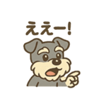 元気すぎるシュナです（個別スタンプ：20）