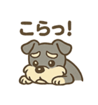 元気すぎるシュナです（個別スタンプ：22）