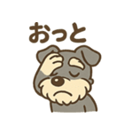 元気すぎるシュナです（個別スタンプ：34）