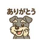 元気すぎるシュナです（個別スタンプ：36）