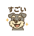元気すぎるシュナです（個別スタンプ：37）