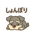 元気すぎるシュナです（個別スタンプ：40）