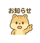 元気なちびリス（個別スタンプ：16）