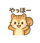 元気なちびリス（個別スタンプ：23）