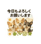 ふわふわコーギーの まごころ便（個別スタンプ：7）