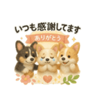 ふわふわコーギーの まごころ便（個別スタンプ：13）