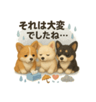 ふわふわコーギーの まごころ便（個別スタンプ：26）