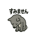 ちょっとマヌケな狼の日常（個別スタンプ：3）
