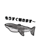 魚魚魚WOWOW（個別スタンプ：2）