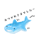魚魚魚WOWOW（個別スタンプ：17）