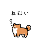 いつでも使える柴犬（赤柴）（個別スタンプ：3）