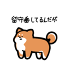 いつでも使える柴犬（赤柴）（個別スタンプ：6）