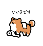 いつでも使える柴犬（赤柴）（個別スタンプ：7）